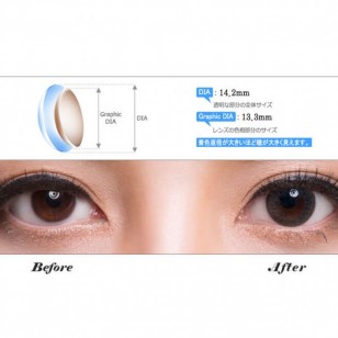 Someday Gray(月拋)